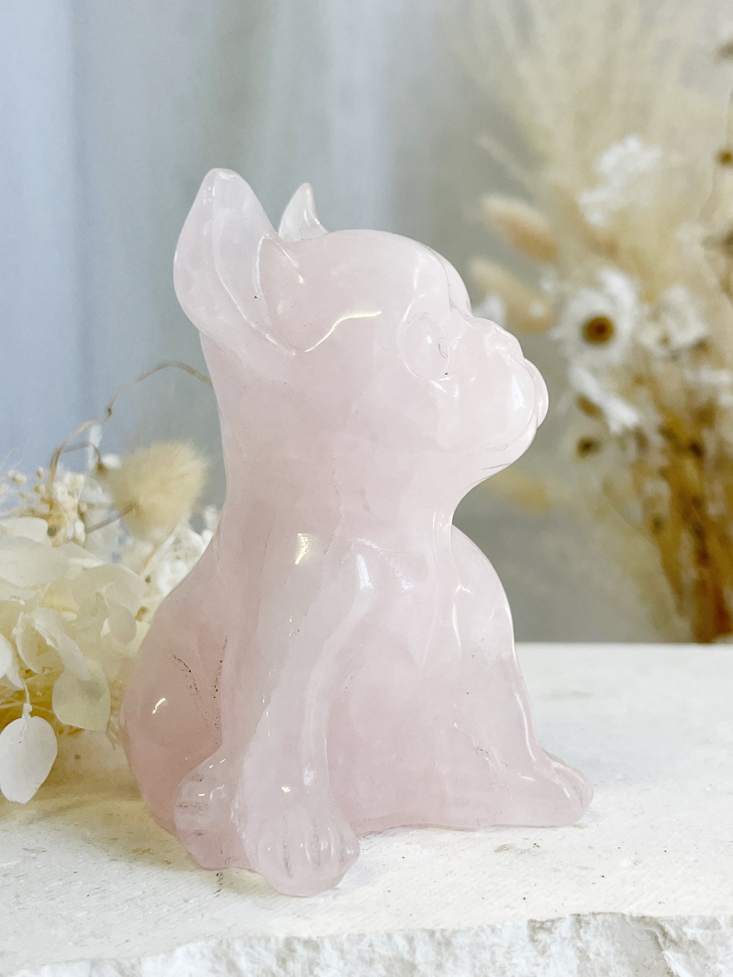 ROSE QUARTZ FRENCHIE || 31448