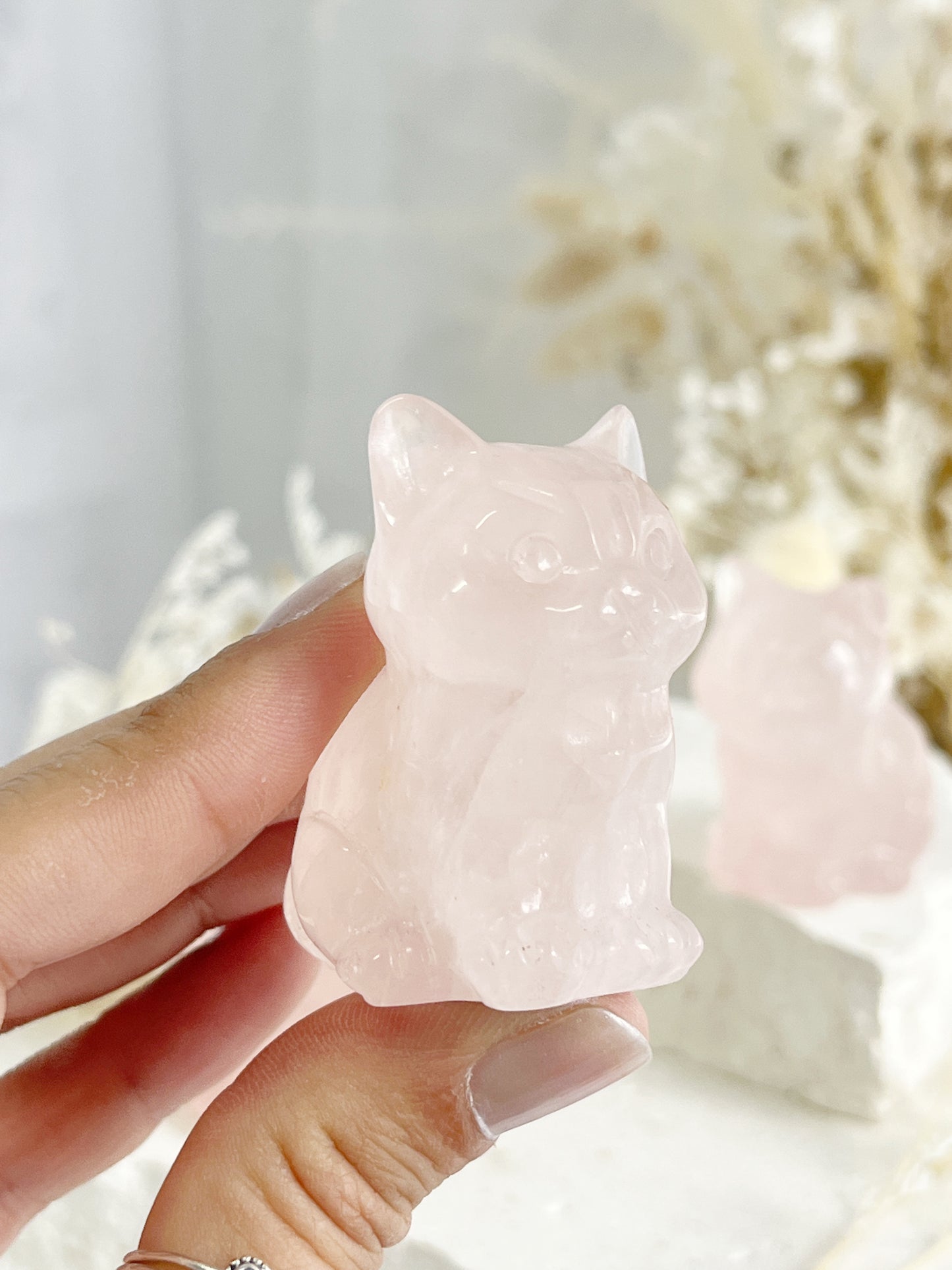 ROSE QUARTZ CAT || 31744