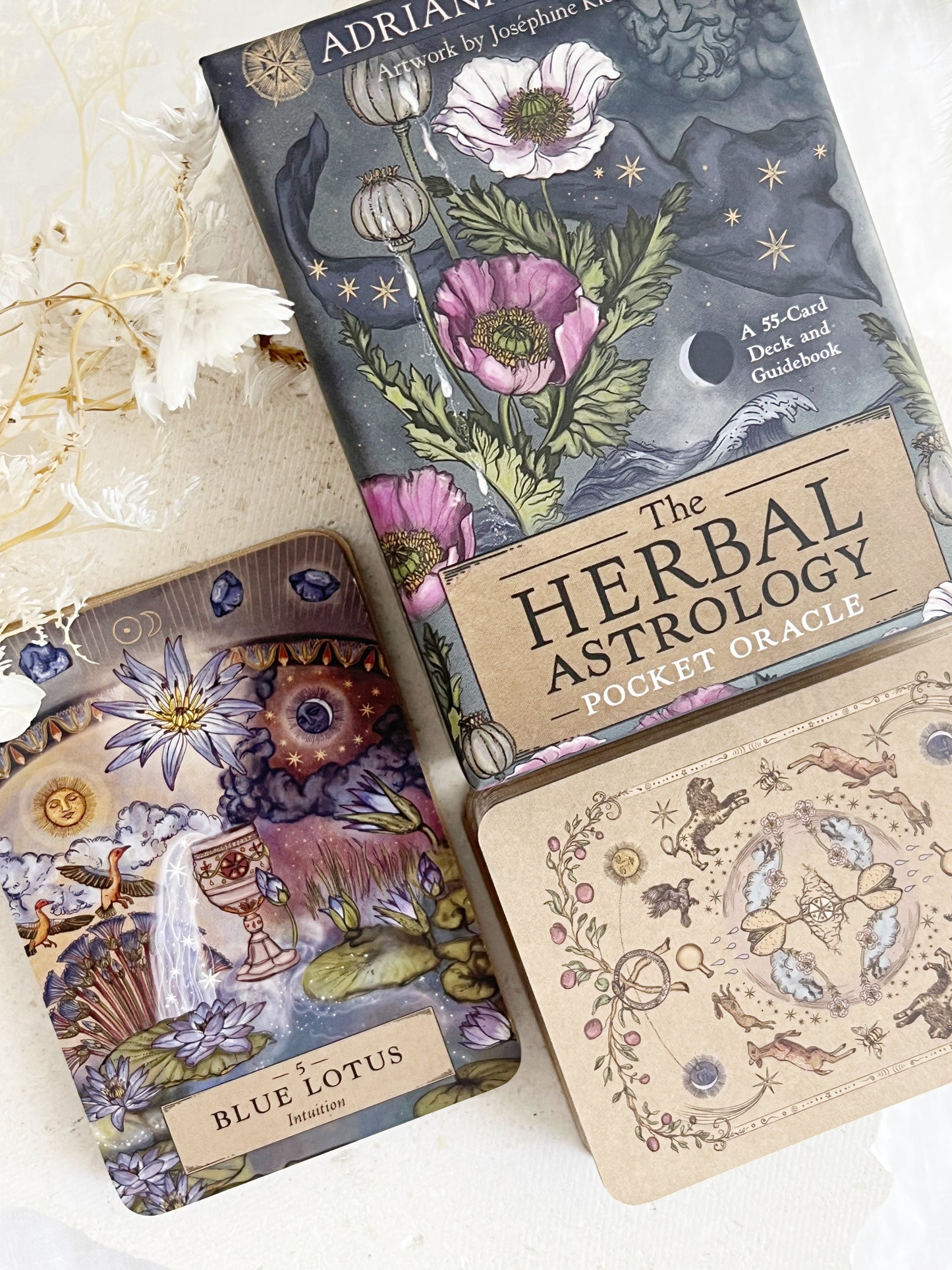 HERBAL ASTROLOGY ORACLE DECK || POCKET EDITION