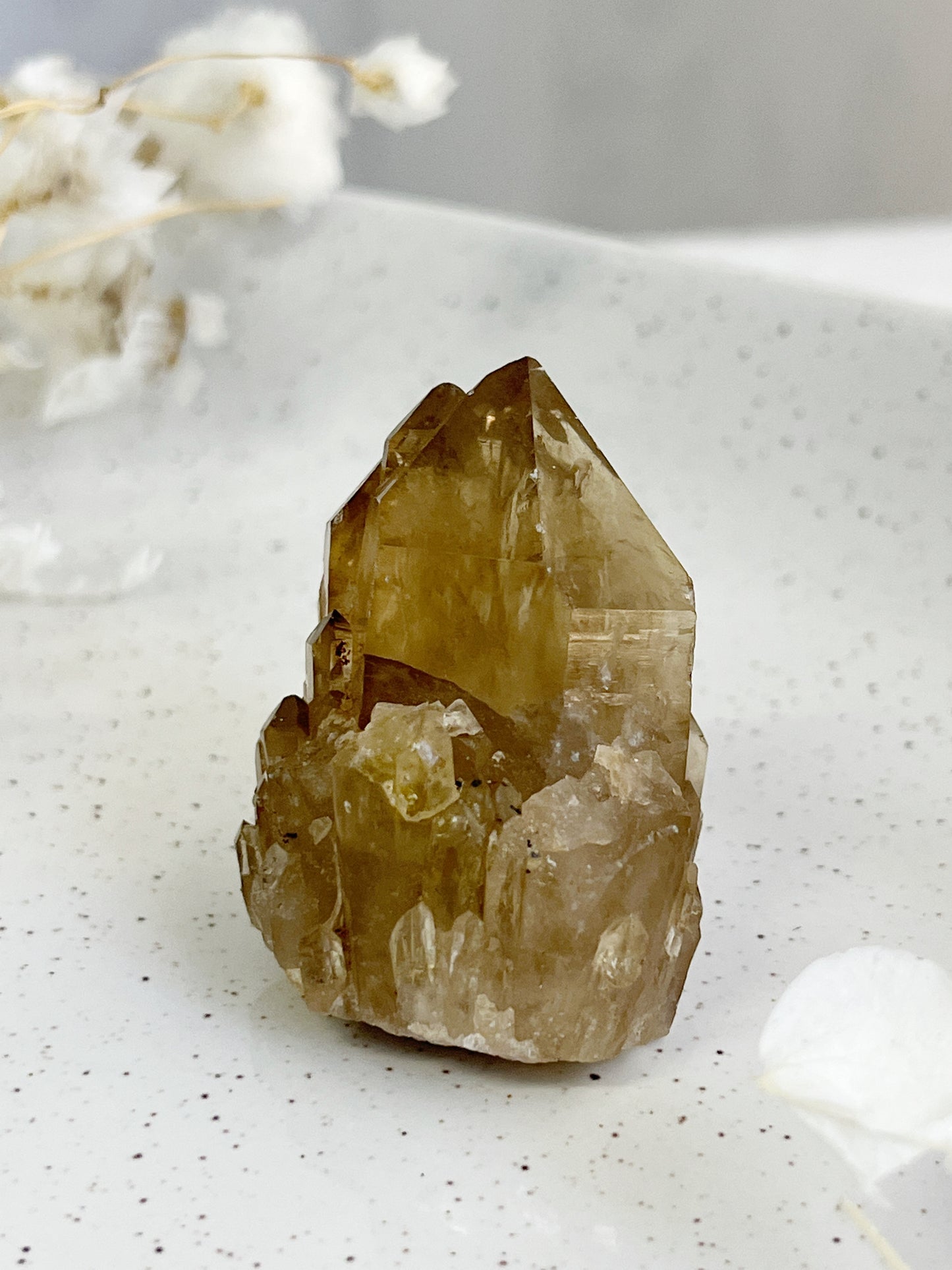 NATURAL CITRINE POINT || 31573