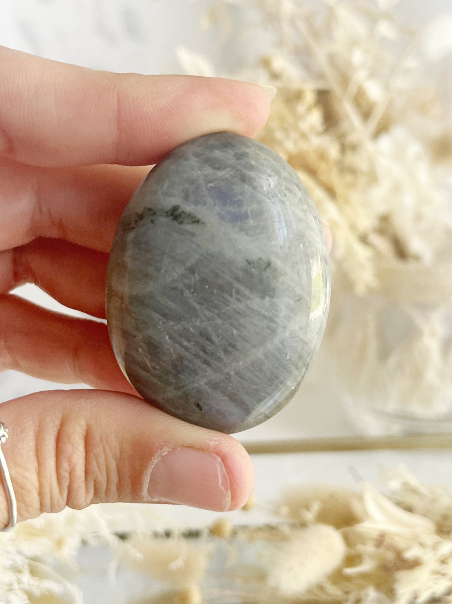 LABRADORITE PALMSTONE || 22049