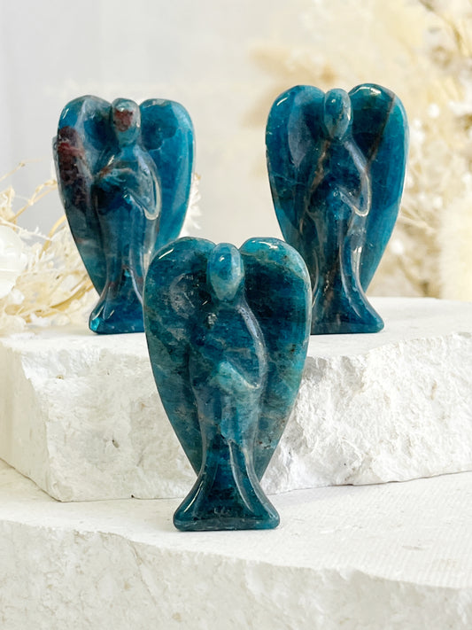 APATITE ANGEL || INTUITIVELY CHOSEN