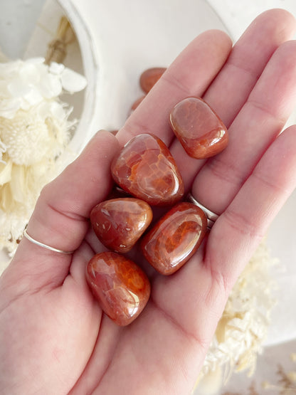 CRACKLE CARNELIAN TUMBLE