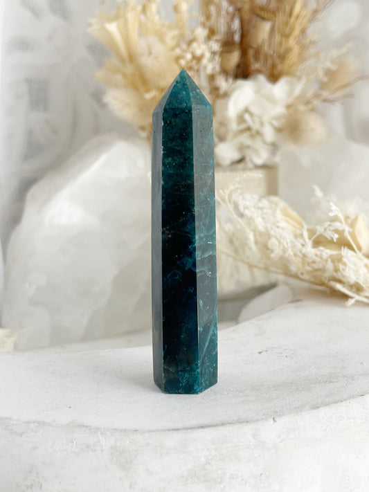 APATITE GENERATOR. STONED AND SAGED AUSTRALIA