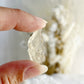 LIBYAN DESERT GLASS SPECIMEN. STONED AND SAGED AUSTRALIA.