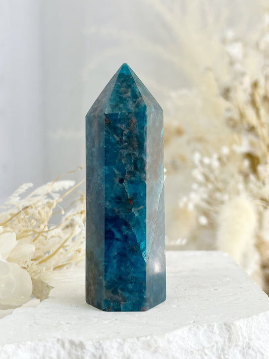 APATITE CRYSTAL GENERATOR TOWER POINT AUSTRALIA STONED AND SAGED