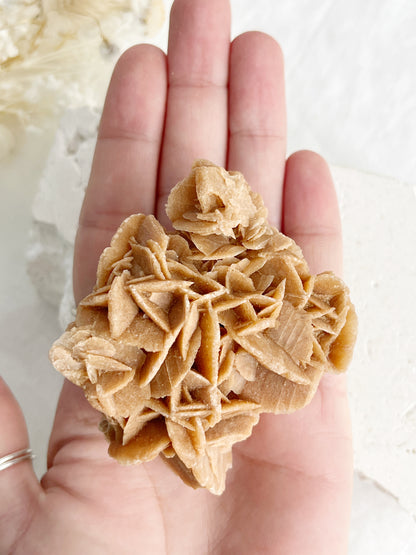 SAND DESERT ROSE || 31287