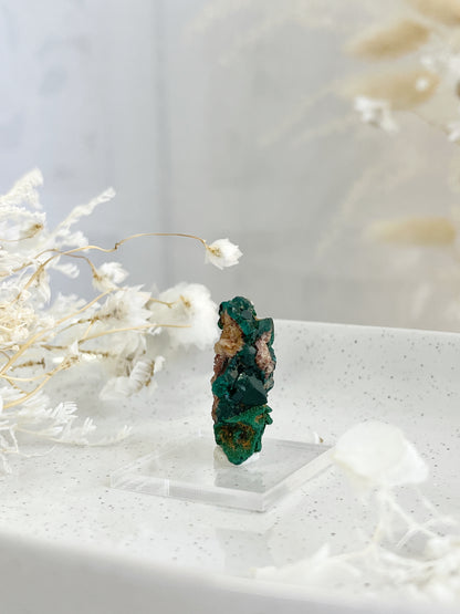 DIOPTASE SPECIMEN, 31594, STONED AND SAGED AUSTRALIA