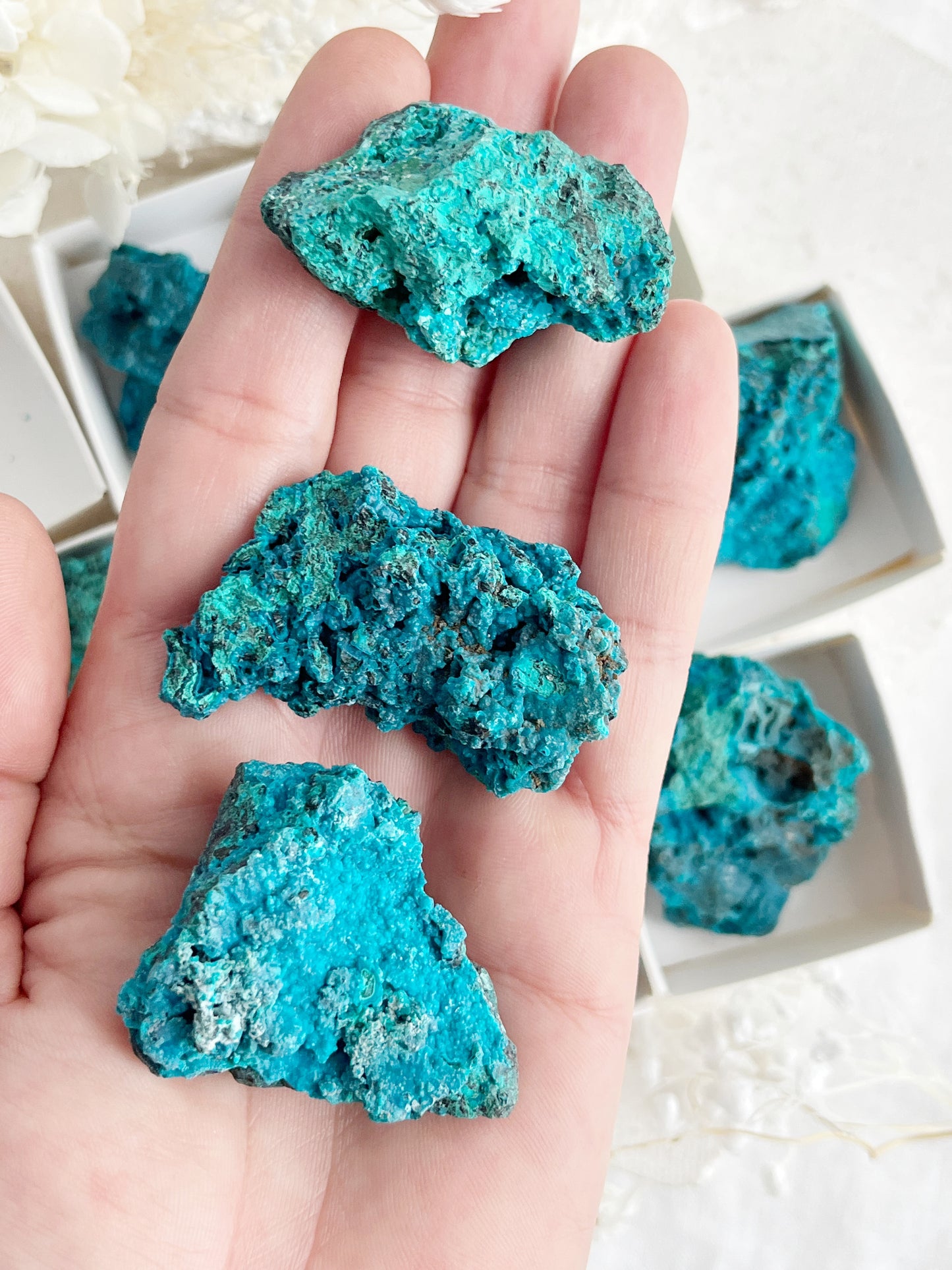 PERUVIAN CHRYSOCOLLA SPECIMEN || INTUITIVELY CHOSEN