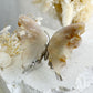 FLOWER AGATE CRYSTAL BUTTERFLY AUSTRALIA SELF GROWTH TRANSFORMATION LOVE HEALING STONED AND SAGED