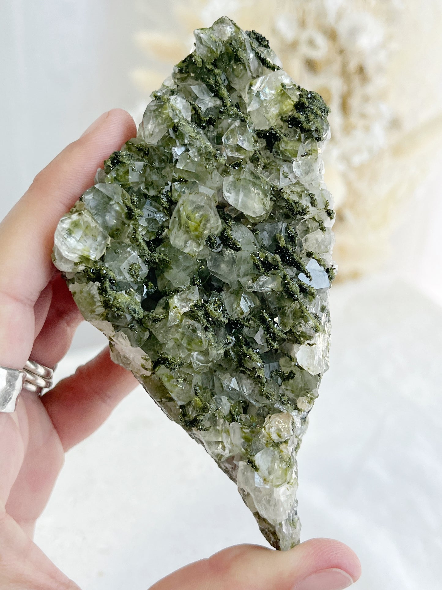 EPIDOTE WITH QUARTZ || 31423