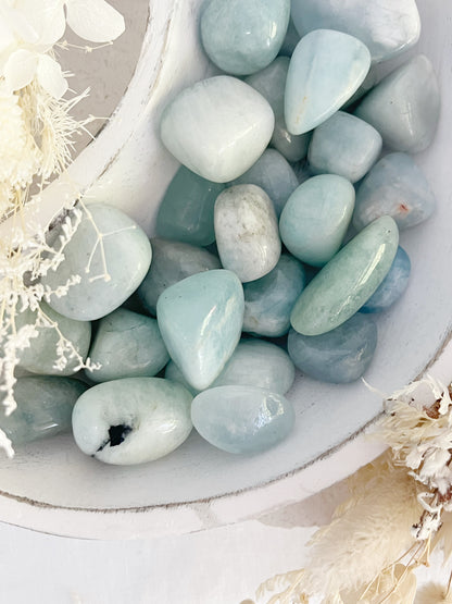 AQUAMARINE TUMBLE, AUSTRALIA