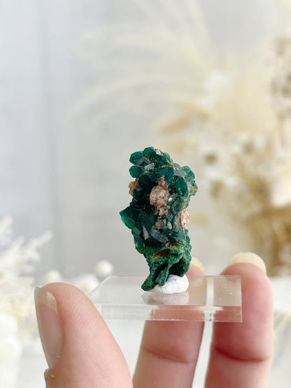 DIOPTASE SPECIMEN, 31594, STONED AND SAGED AUSTRALIA