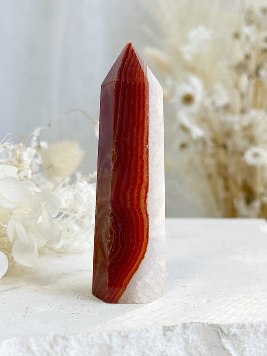 CARNELIAN GENERATOR || 31410