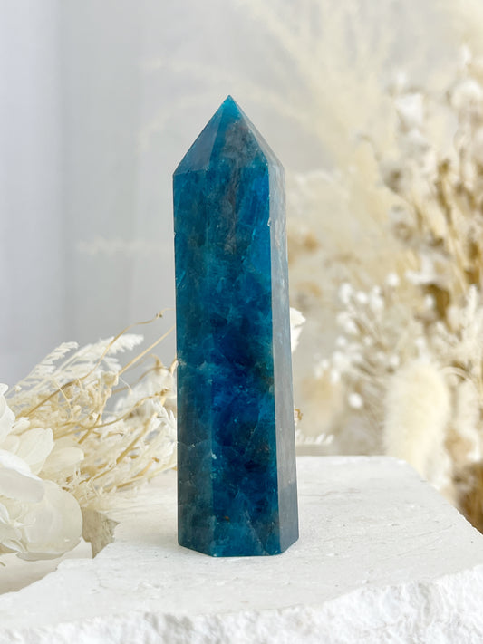 APATITE CRYSTAL GENERATOR TOWER POINT AUSTRALIA STONED AND SAGED