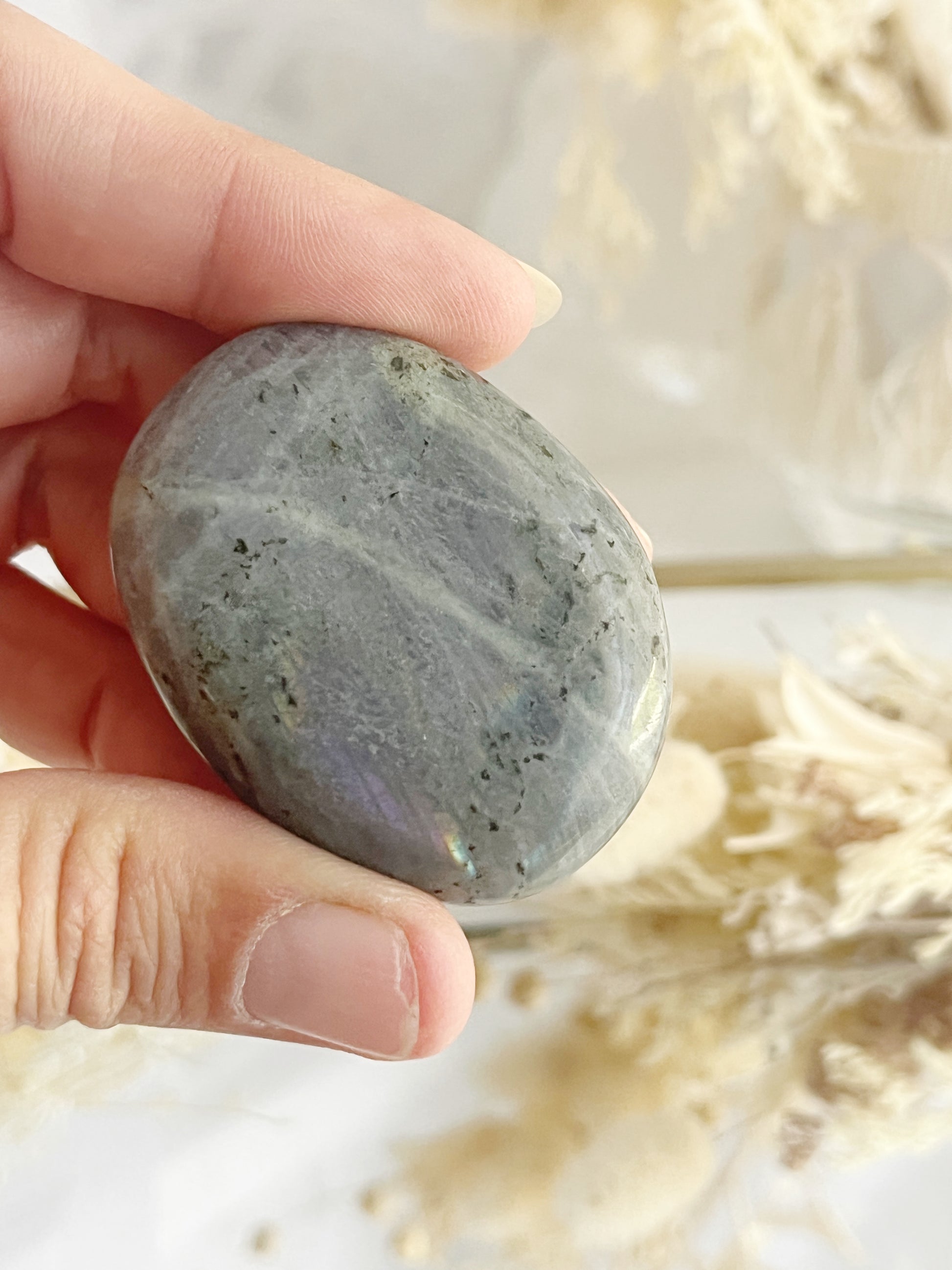 labradorite palmstone Crystal shop Australia 