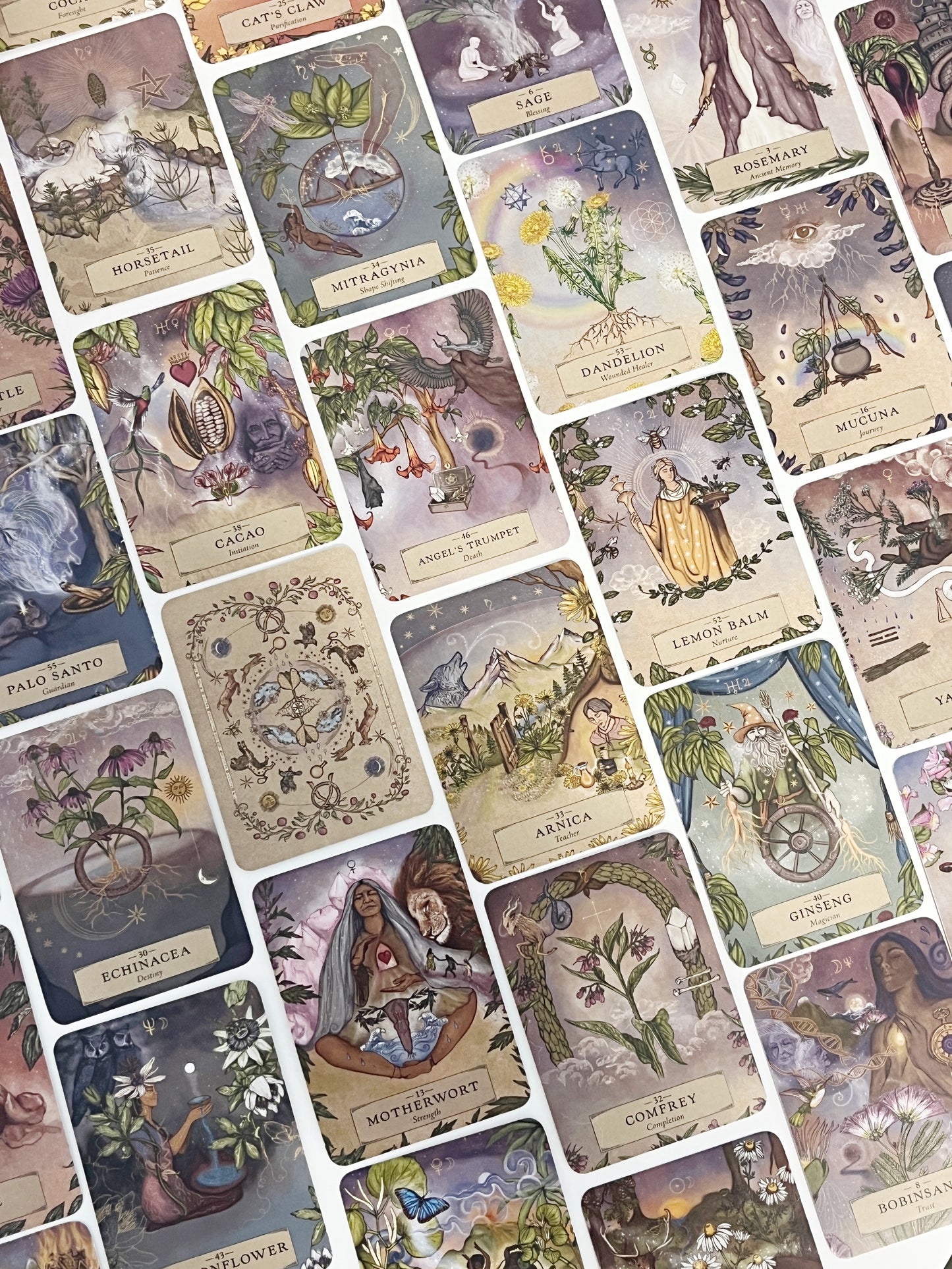 HERBAL ASTROLOGY ORACLE DECK || POCKET EDITION