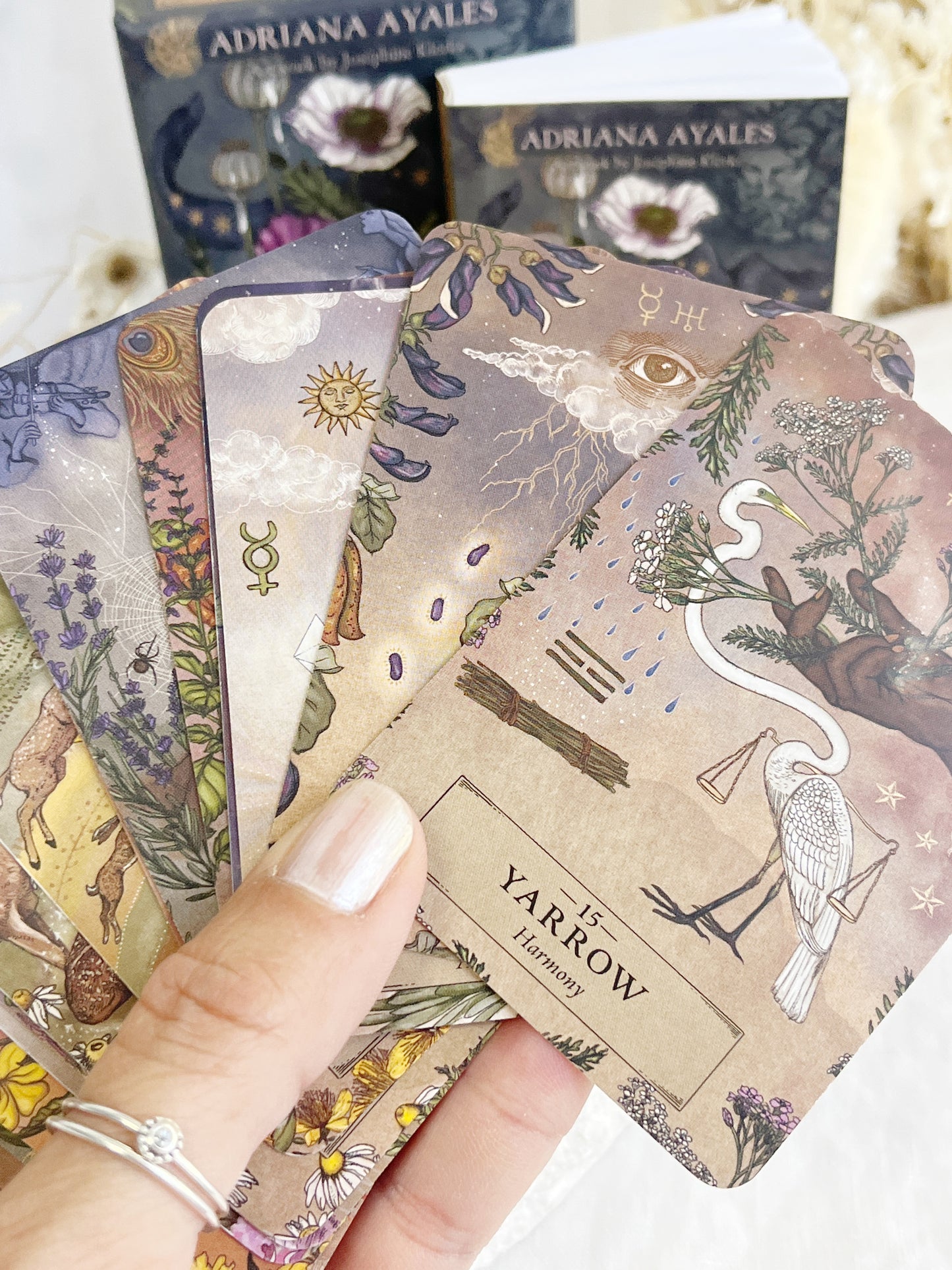 HERBAL ASTROLOGY ORACLE DECK || POCKET EDITION