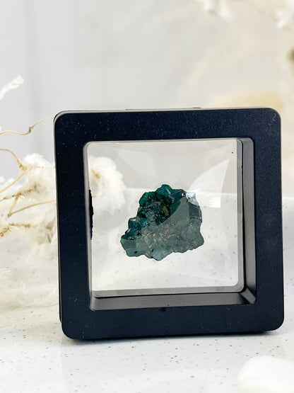 DIOPTASE SPECIMEN || 31595