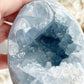 CELESTITE CLUSTER EGG || 31509