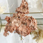 NATIVE MICHIGAN COPPER SPECIMEN || 20789