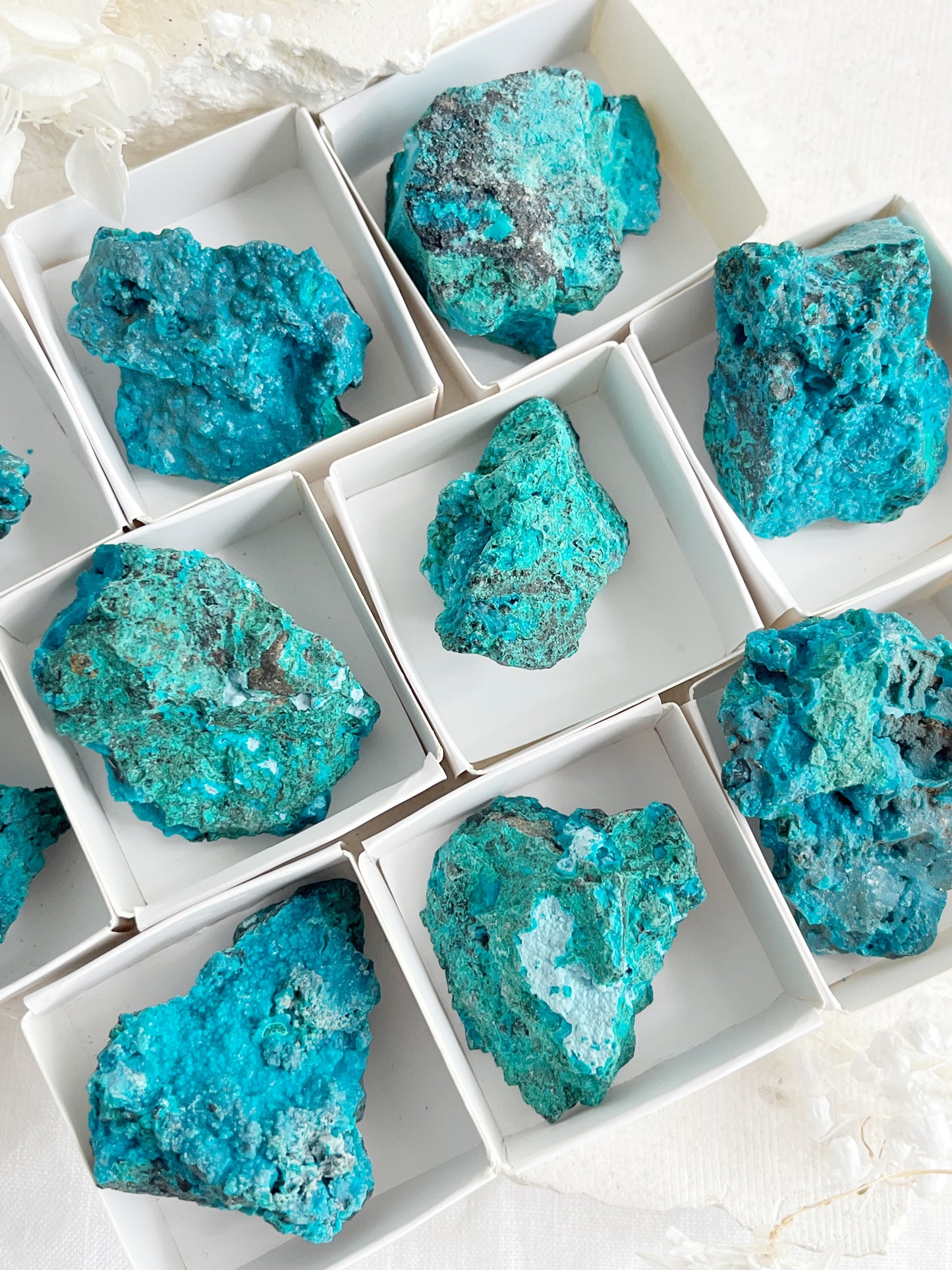 PERUVIAN CHRYSOCOLLA SPECIMEN || INTUITIVELY CHOSEN