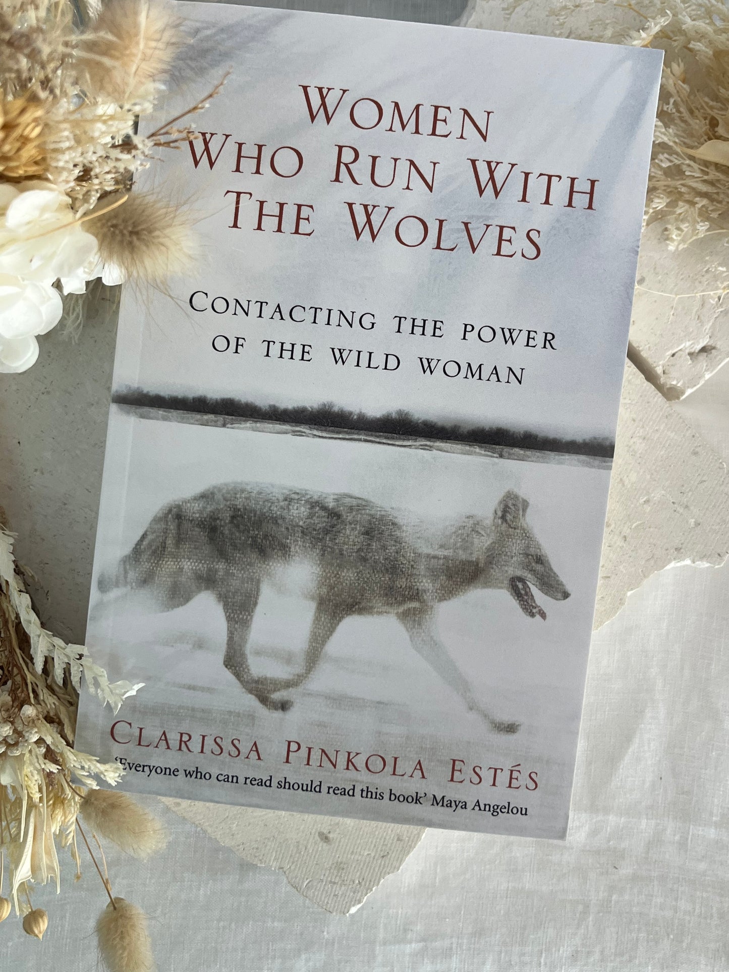 WOMEN WHO RUN WITH THE WOLVES | CLARISSA PINKOLA ESTES