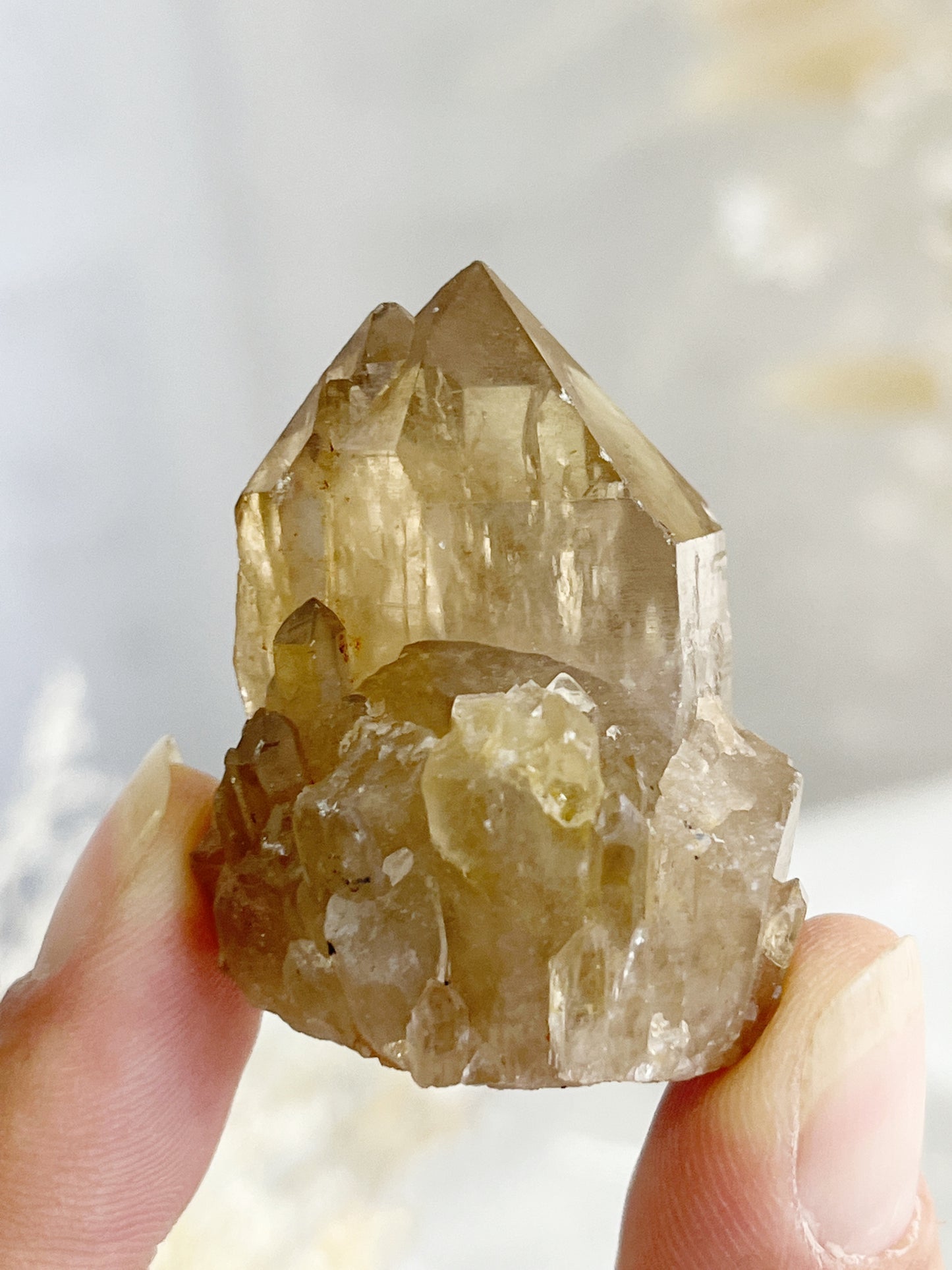 NATURAL CITRINE POINT, 31573, STONED AND SAGED AUSTRALIA