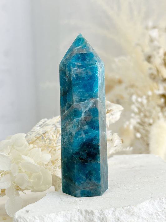 APATITE CRYSTAL GENERATOR TOWER POINT AUSTRALIA STONED AND SAGED