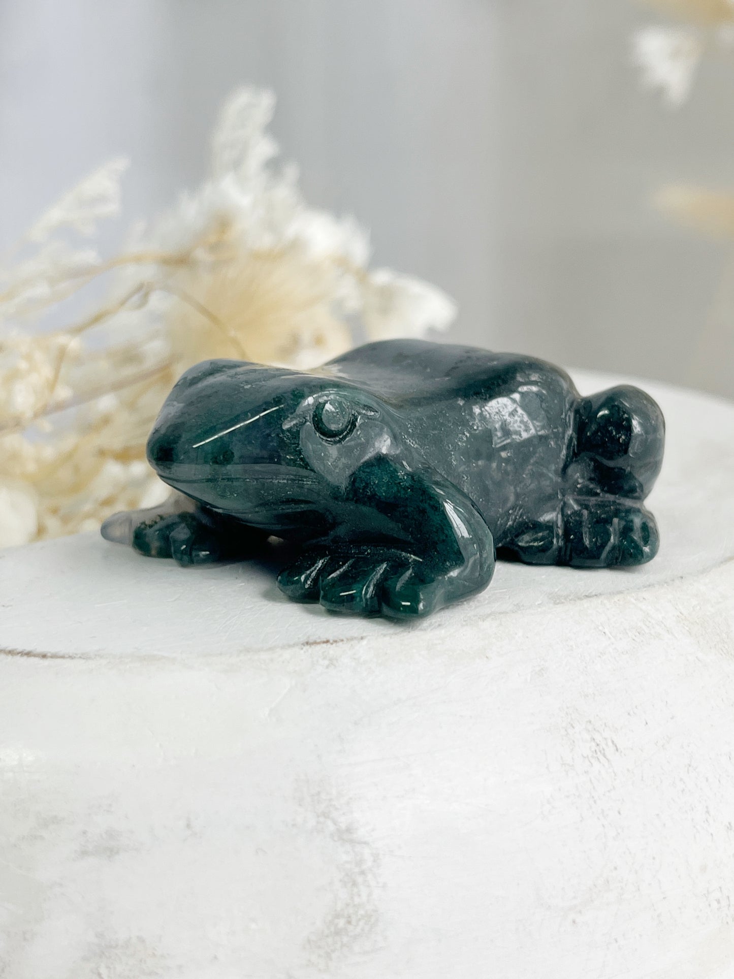 MOSS AGATE FROG || 31523