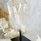 CLEAR QUARTZ CLUSTER ON STAND | 101784