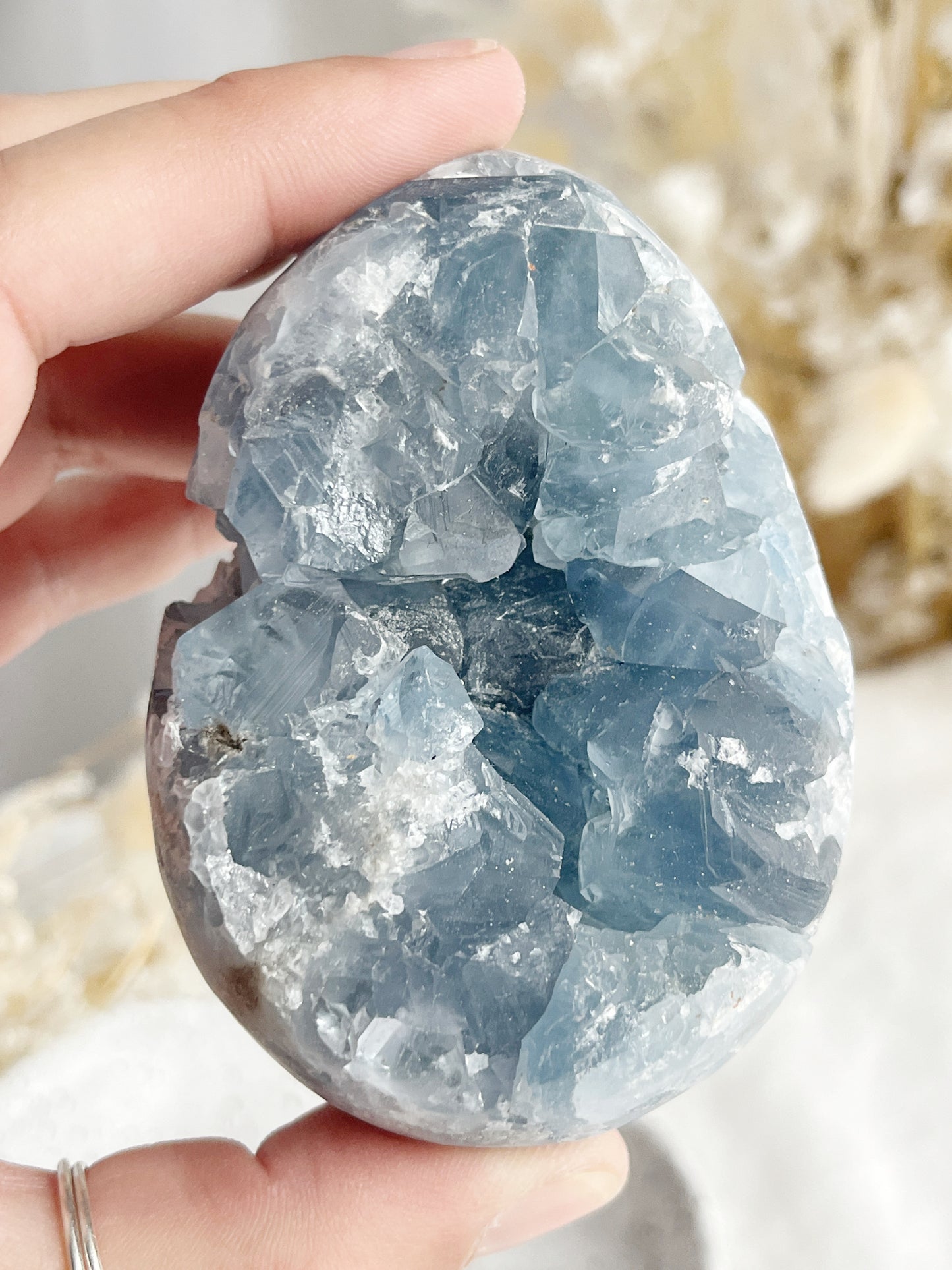 CELESTITE CLUSTER EGG || 31510