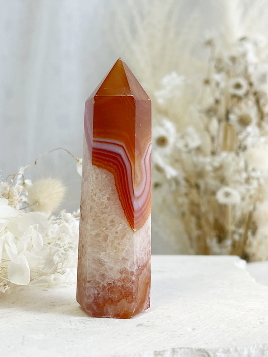 CARNELIAN GENERATOR || 31405