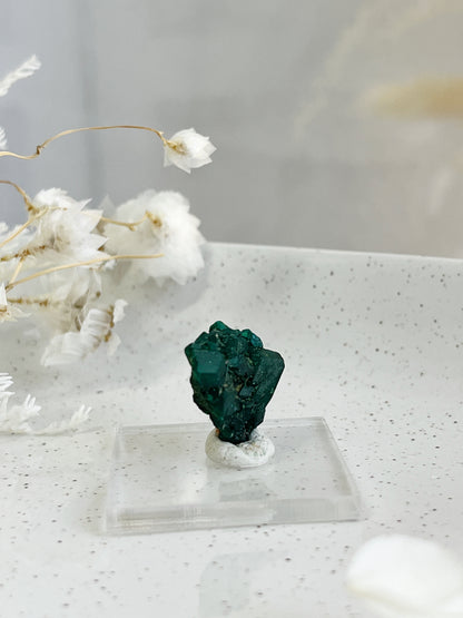 DIOPTASE SPECIMEN, 31595, STONED AND SAGED AUSTRALIA