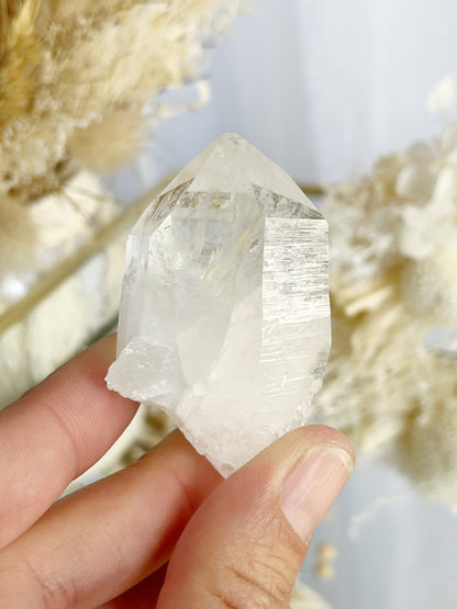COLOMBIAN LEMURIAN POINT | 101890