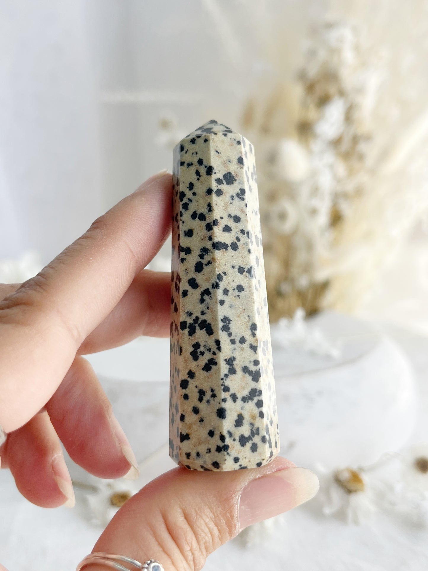 DALMATIAN JASPER GENERATOR. STONED AND SAGED AUSTRALIA.