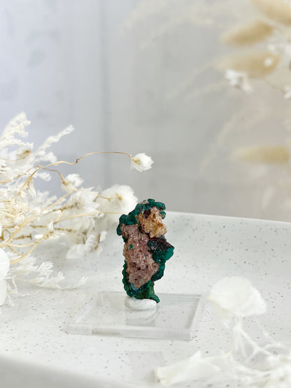 DIOPTASE SPECIMEN, 31594, STONED AND SAGED AUSTRALIA