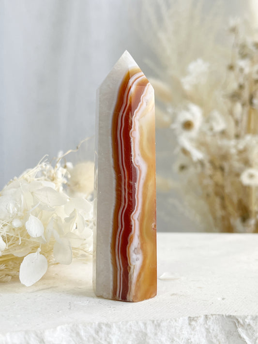 CARNELIAN GENERATOR || 31408