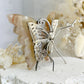 FLOWER AGATE BUTTERFLY || 31789