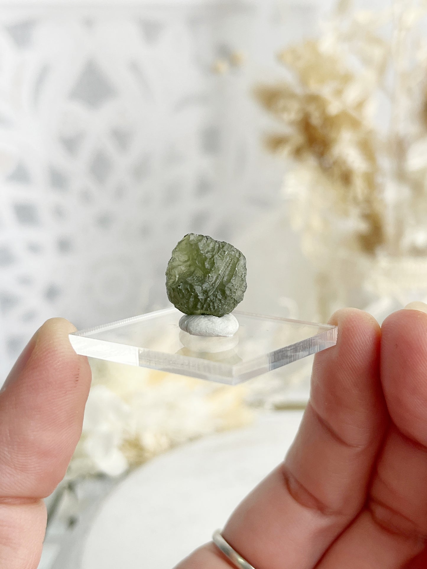 MOLDAVITE SPECIMEN || 30095