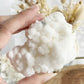 WHITE ARAGONITE CLUSTER || 20918