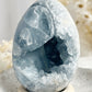 CELESTITE CLUSTER EGG || 31509