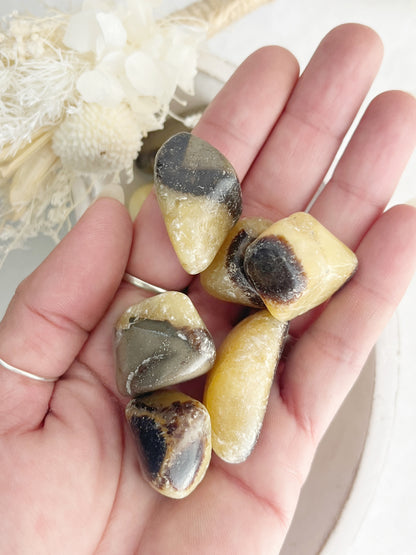 SEPTARIAN TUMBLE