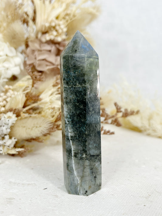 LABRADORITE GENERATOR, STONED AND SAGED AUSTRALIA