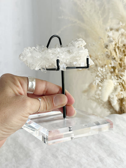 ACRYLIC + METAL SPECIMEN STAND