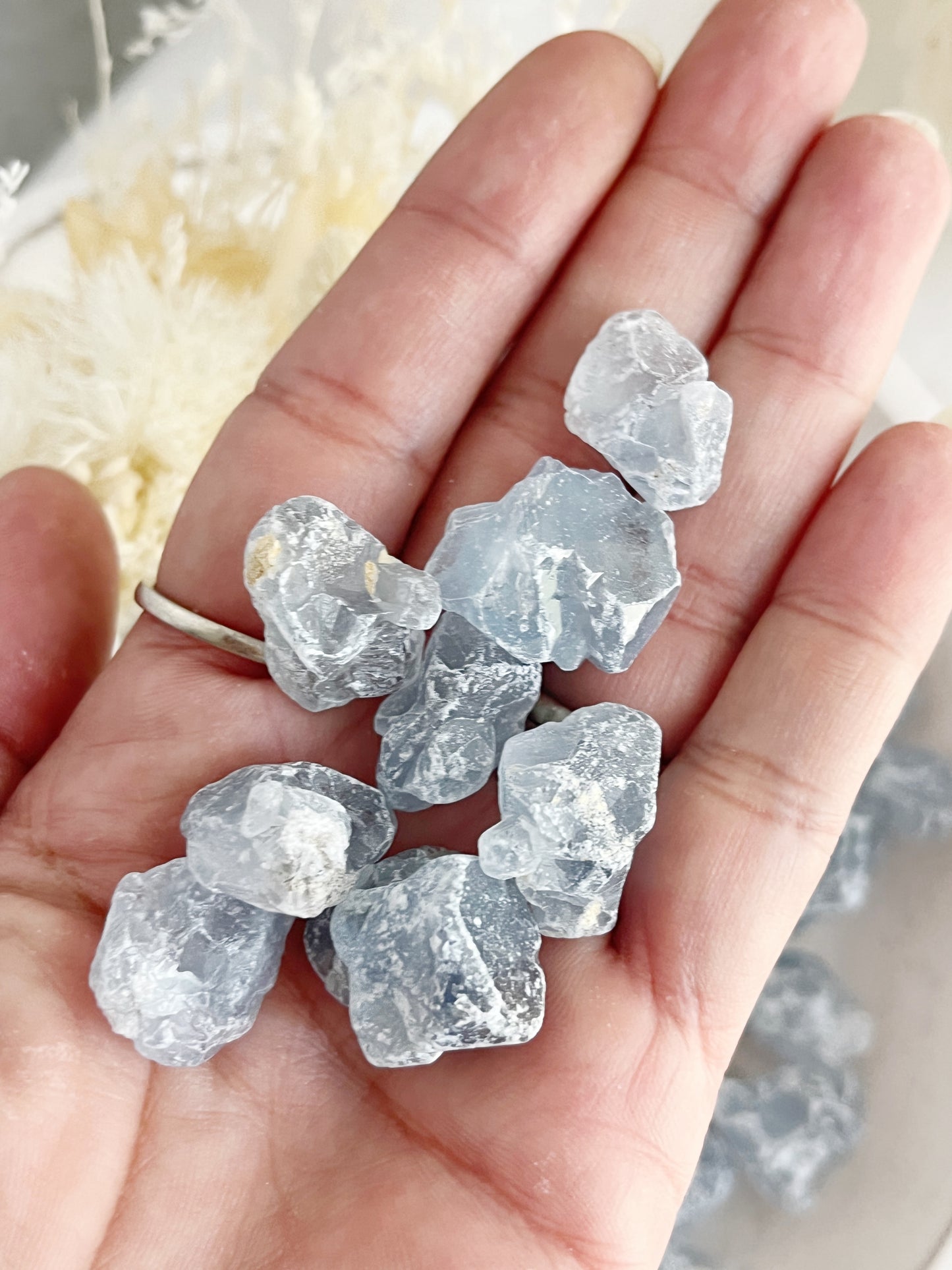 CELESTITE MINI ROUGHS || 200g INTUITIVELY CHOSEN