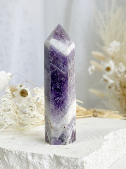 DREAM AMETHYST GENERATOR || 31366