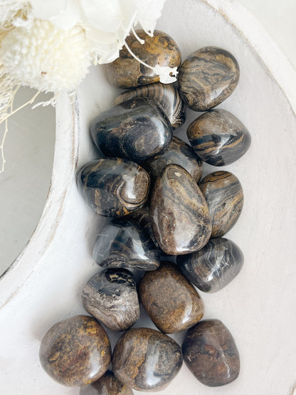 STROMATOLITE TUMBLE, STONED AND SAGED AUSTRALIA