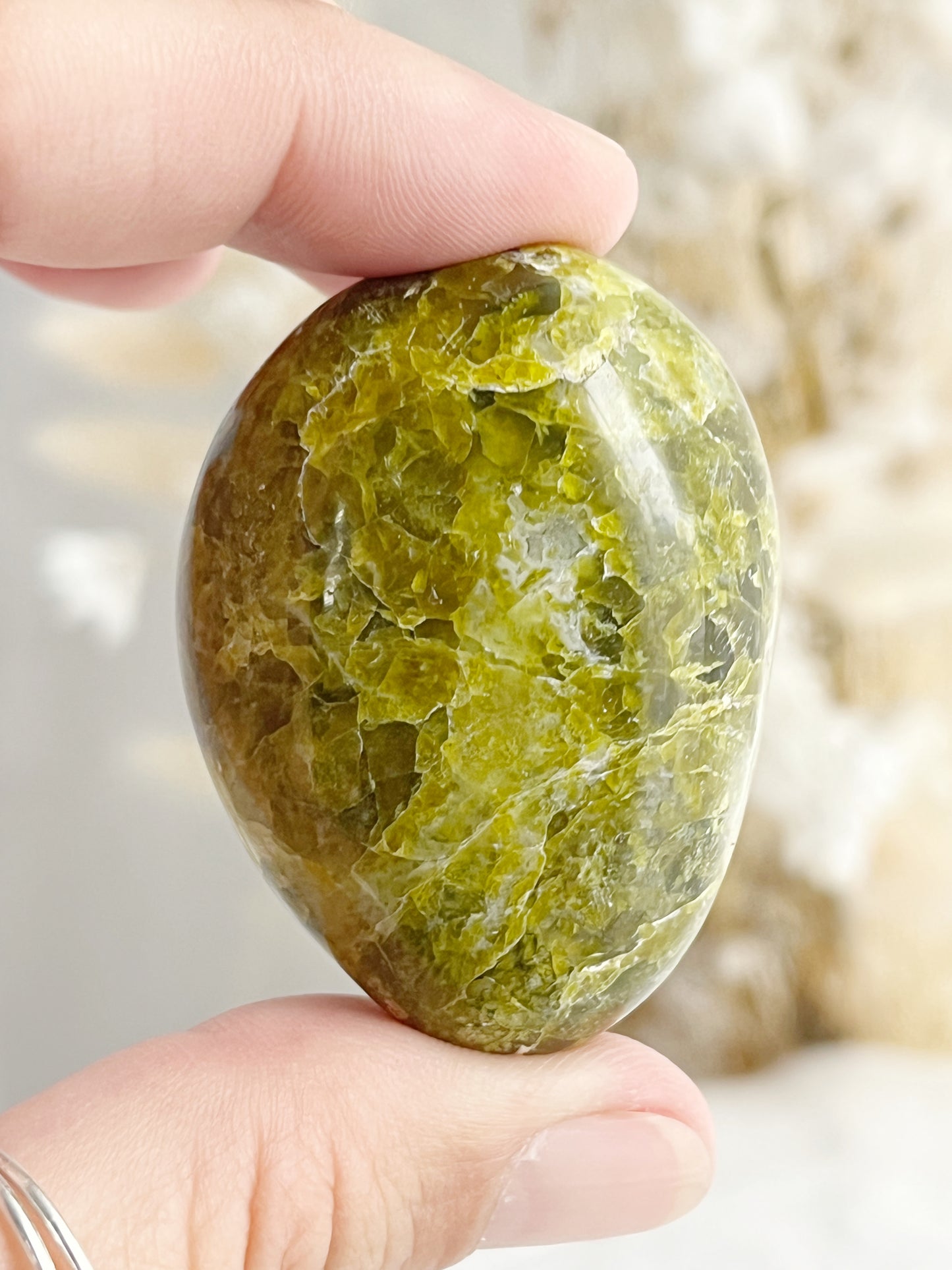 GREEN OPAL PALMSTONE || 31499