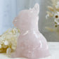 ROSE QUARTZ FRENCHIE || 31448